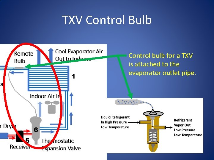 TXV Control Bulb Control bulb for a TXV is attached to the evaporator outlet
