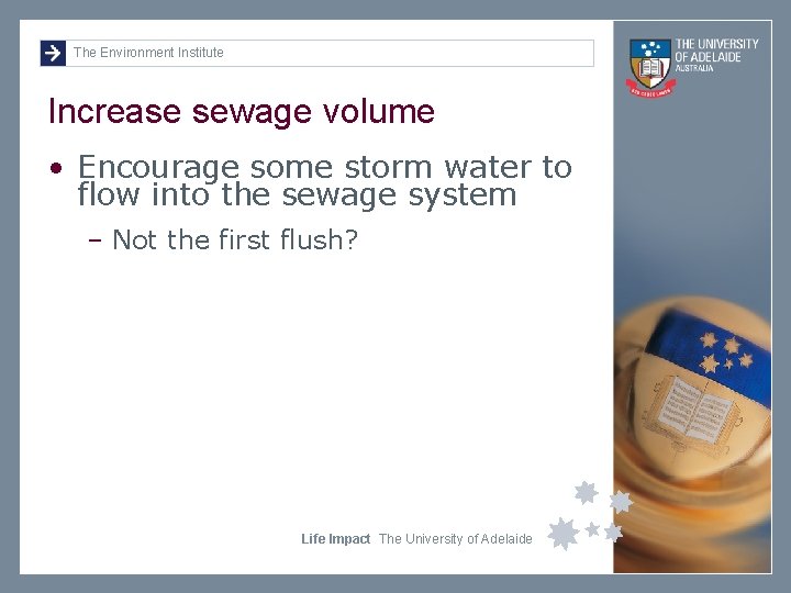 The Environment Institute Increase sewage volume • Encourage some storm water to flow into