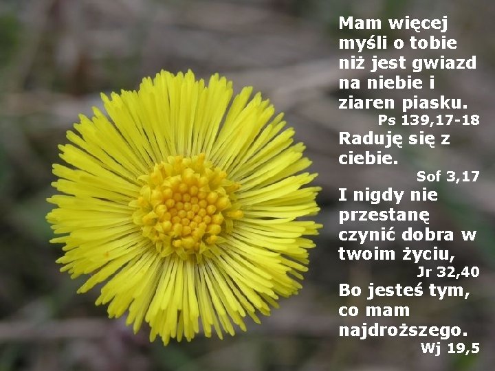 Mam więcej myśli o tobie niż jest gwiazd na niebie i ziaren piasku. Ps