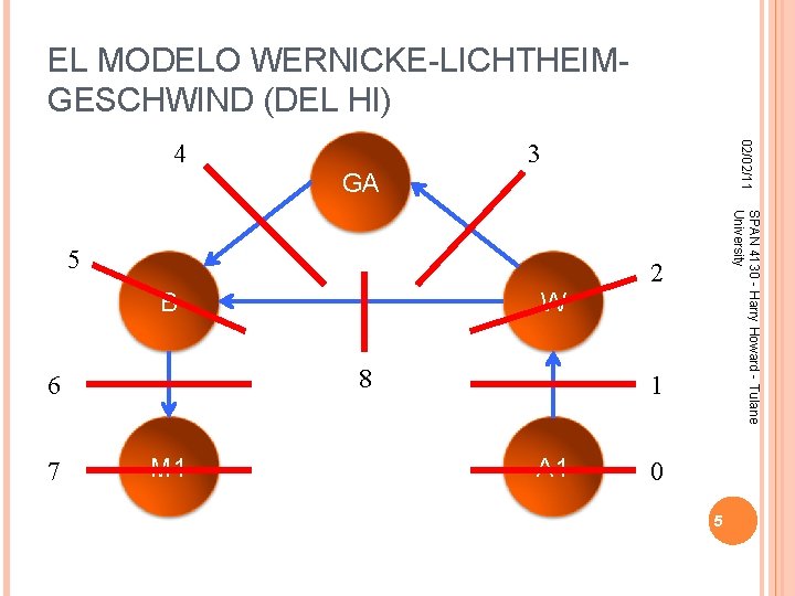 EL MODELO WERNICKE-LICHTHEIMGESCHWIND (DEL HI) 3 02/02/11 4 GA 2 B W 8 6