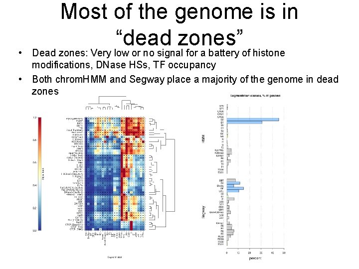 Most of the genome is in “dead zones” • Dead zones: Very low or