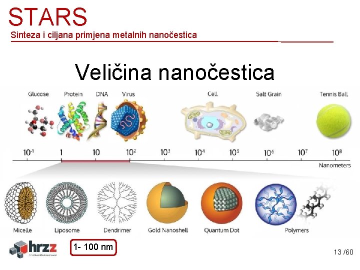 STARS Sinteza i ciljana primjena metalnih nanočestica Veličina nanočestica 1 - 100 nm 13
