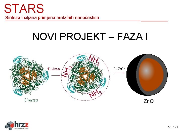 STARS Sinteza i ciljana primjena metalnih nanočestica NOVI PROJEKT – FAZA I 51 /60