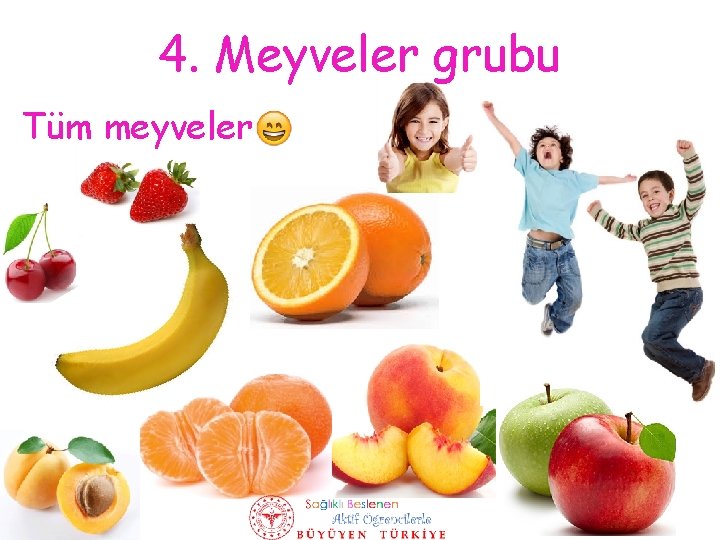 4. Meyveler grubu Tüm meyveler 