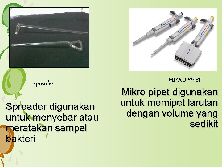 spreader Spreader digunakan untuk menyebar atau meratakan sampel bakteri MIKRO PIPET Mikro pipet digunakan