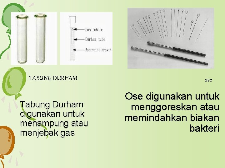 TABUNG DURHAM Tabung Durham digunakan untuk menampung atau menjebak gas ose Ose digunakan untuk