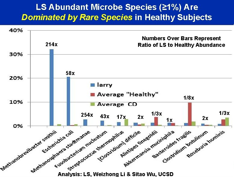 LS Abundant Microbe Species (≥ 1%) Are Dominated by Rare Species in Healthy Subjects