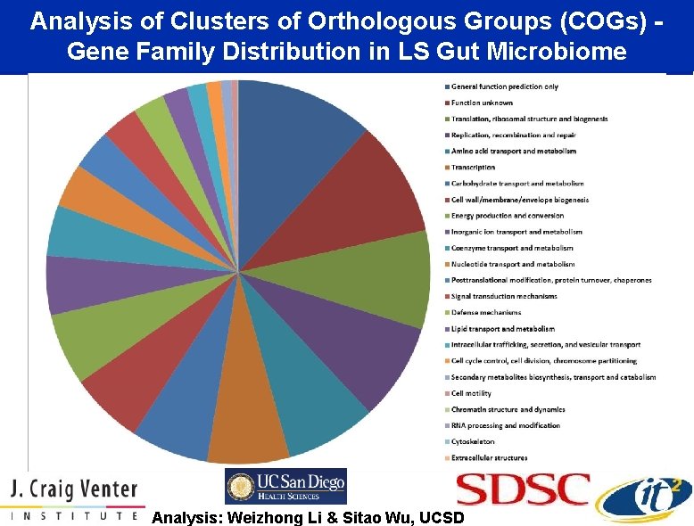 Analysis of Clusters of Orthologous Groups (COGs) Gene Family Distribution in LS Gut Microbiome