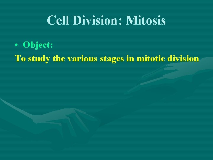Cell Division: Mitosis • Object: To study the various stages in mitotic division 