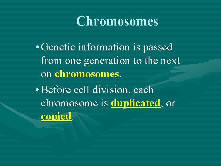 Chromosomes • Genetic information is passed from one generation to the next on chromosomes.