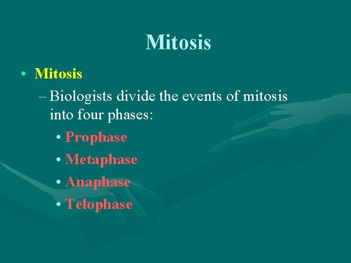 Mitosis • Mitosis – Biologists divide the events of mitosis into four phases: •