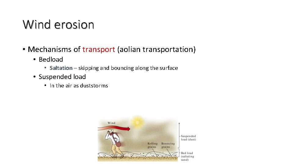 Wind erosion • Mechanisms of transport (aolian transportation) • Bedload • Saltation – skipping