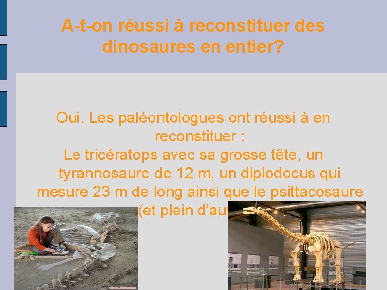 A-t-on réussi à reconstituer des dinosaures en entier? Oui. Les paléontologues ont réussi à