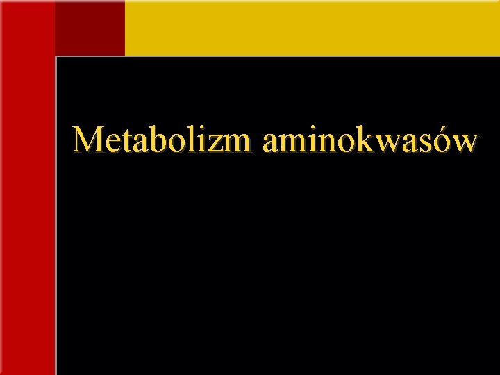 Metabolizm aminokwasów 