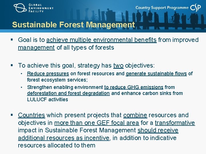 Sustainable Forest Management § Goal is to achieve multiple environmental benefits from improved management