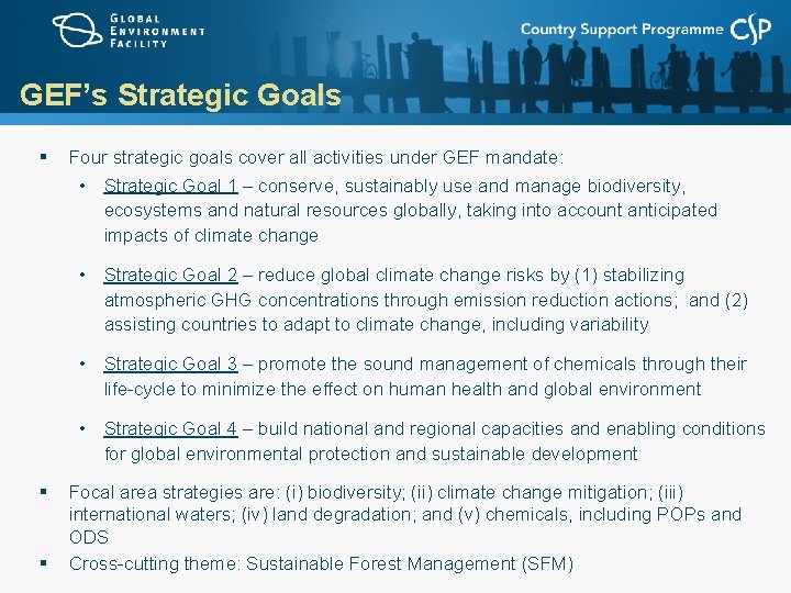 GEF’s Strategic Goals § Four strategic goals cover all activities under GEF mandate: •