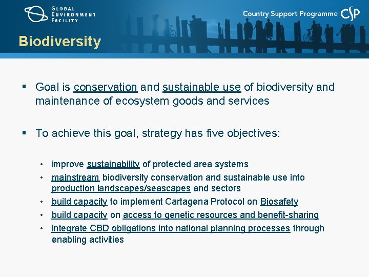 Biodiversity § Goal is conservation and sustainable use of biodiversity and maintenance of ecosystem