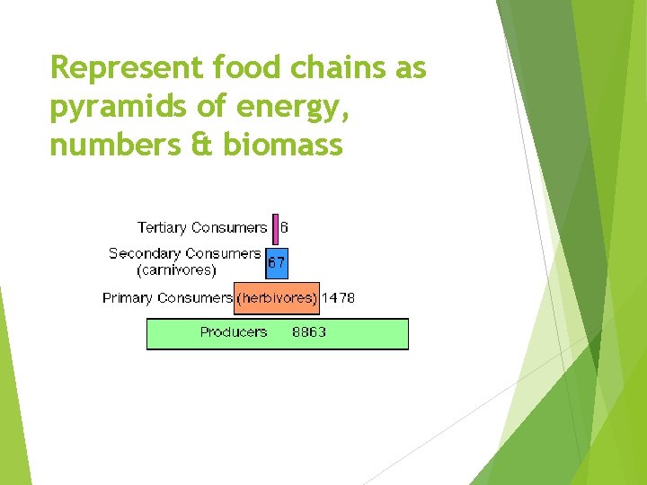 Represent food chains as pyramids of energy, numbers & biomass 