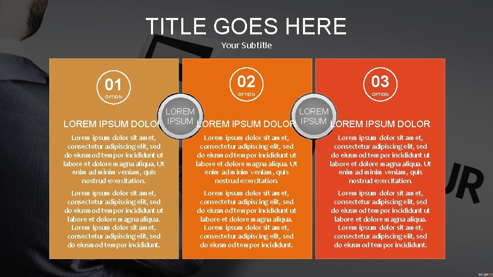 TITLE GOES HERE Your Subtitle 01 OPTION 02 03 OPTION LOREM IPSUM DOLOR IPSUM