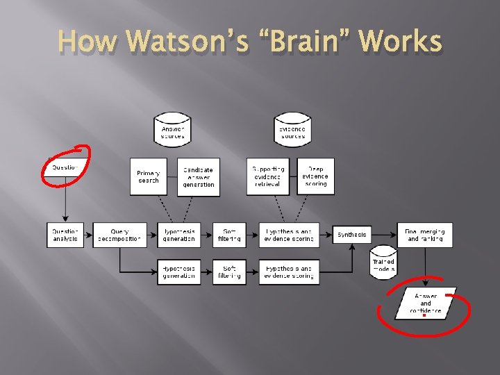How Watson’s “Brain” Works 