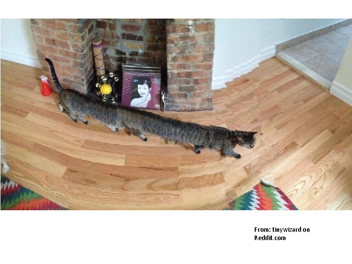 From: tinywizard on Reddit. com 