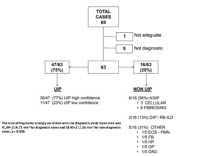 The area of fragments strongly correlates with the diagnostic yield, mean area was 41,