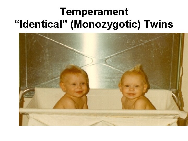 Temperament “Identical” (Monozygotic) Twins 