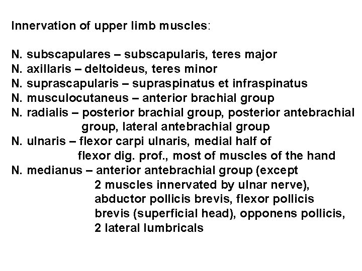 Innervation of upper limb muscles: N. subscapulares – subscapularis, teres major N. axillaris –