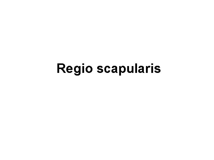 Regio scapularis 