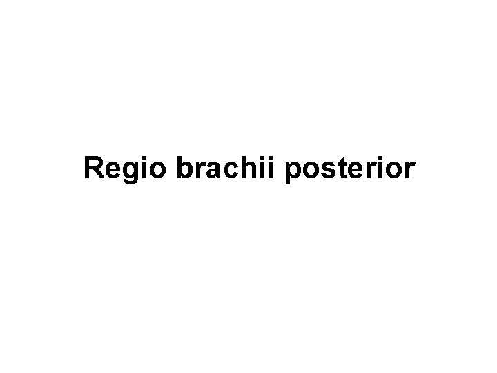 Regio brachii posterior 
