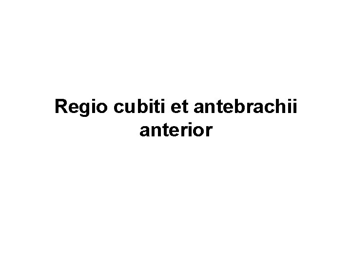 Regio cubiti et antebrachii anterior 