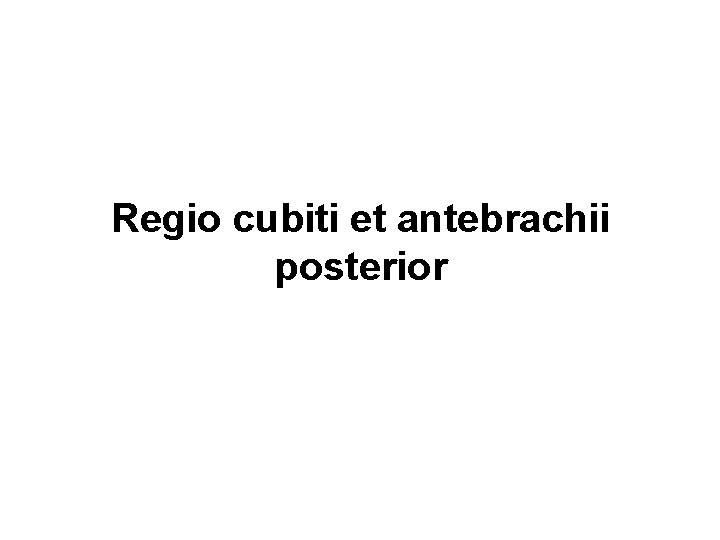 Regio cubiti et antebrachii posterior 