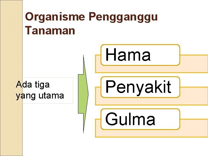 Organisme Pengganggu Tanaman Hama Ada tiga yang utama Penyakit Gulma 