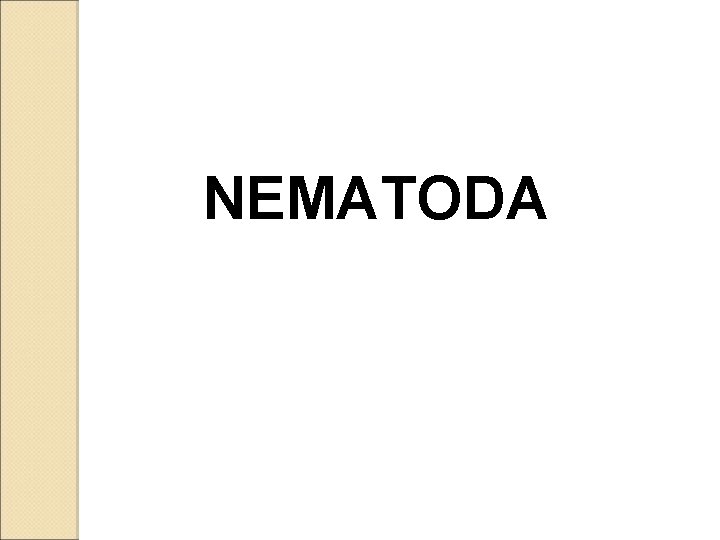 NEMATODA 