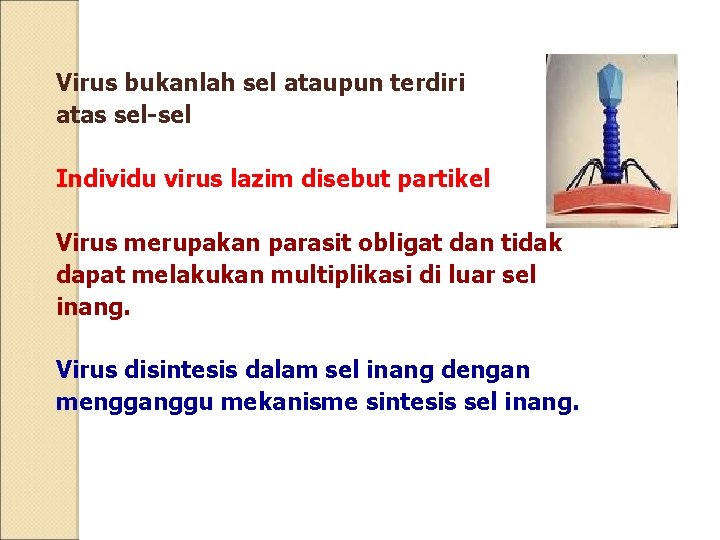 Virus bukanlah sel ataupun terdiri atas sel-sel Individu virus lazim disebut partikel Virus merupakan