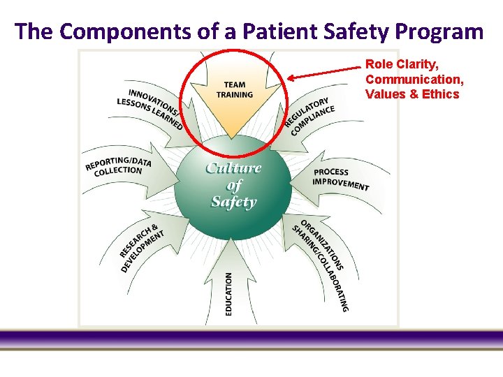 The Components of a Patient Safety Program Role Clarity, Communication, Values & Ethics 