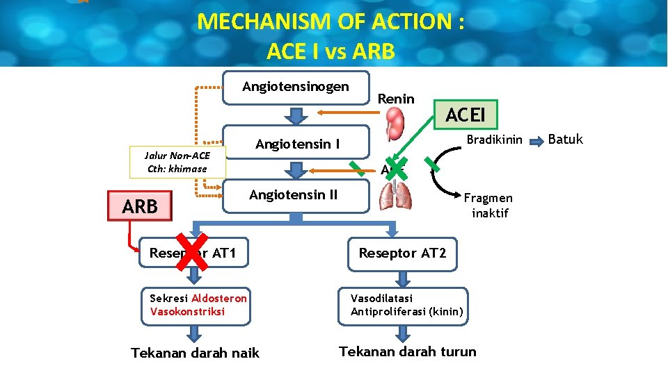 MECHANISM OF ACTION : ACE I vs ARB Angiotensinogen Jalur Non-ACE Cth: khimase ARB
