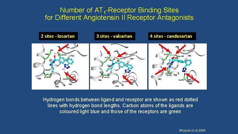 Number of AT 1 -Receptor Binding Sites for Different Angiotensin II Receptor Antagonists 2