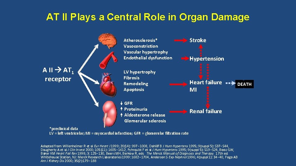 AT II Plays a Central Role in Organ Damage Atherosclerosis* Vasoconstriction Vascular hypertrophy Endothelial