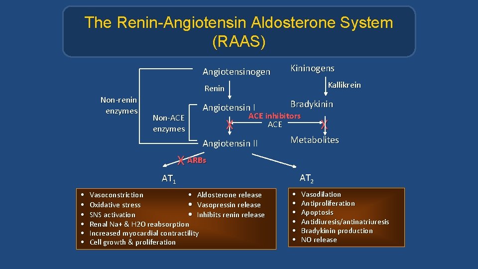The Renin-Angiotensin Aldosterone System (RAAS) Angiotensinogen Kininogens Kallikrein Renin Non-renin enzymes Non-ACE enzymes Angiotensin