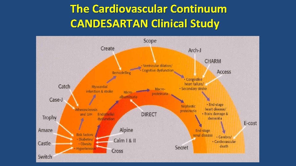 The Cardiovascular Continuum CANDESARTAN Clinical Study 