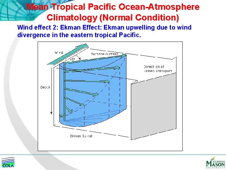 Mean Tropical Pacific Ocean-Atmosphere Climatology (Normal Condition) Wind effect 2: Ekman Effect: Ekman upwelling