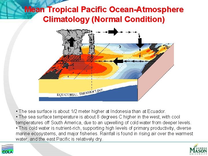 Mean Tropical Pacific Ocean-Atmosphere Climatology (Normal Condition) • The sea surface is about 1/2