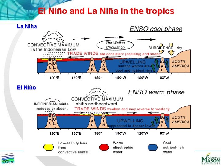El Niño and La Niña in the tropics La Niña El Niño 