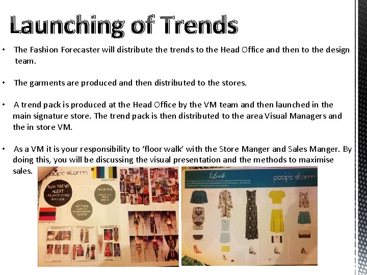 Launching of Trends • The Fashion Forecaster will distribute the trends to the Head