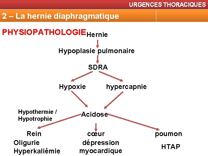 URGENCES THORACIQUES 2 – La hernie diaphragmatique PHYSIOPATHOLOGIE Hernie Hypoplasie pulmonaire SDRA Hypoxie Hypothermie