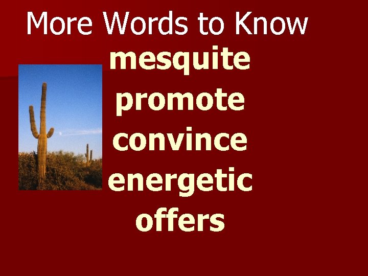 More Words to Know mesquite promote convince energetic offers 