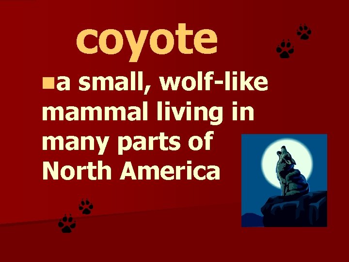 coyote na small, wolf-like mammal living in many parts of North America 