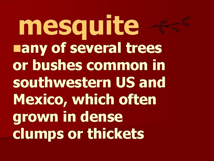 mesquite nany of several trees or bushes common in southwestern US and Mexico, which