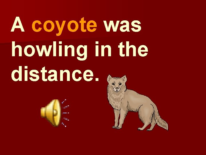A coyote was howling in the distance. 